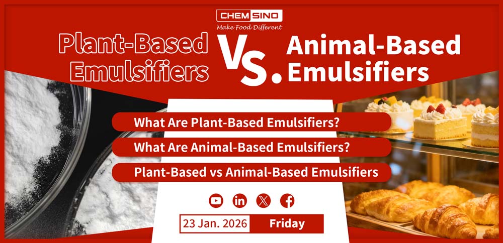 Plant-Based Emulsifiers vs Animal-Based Emulsifiers
